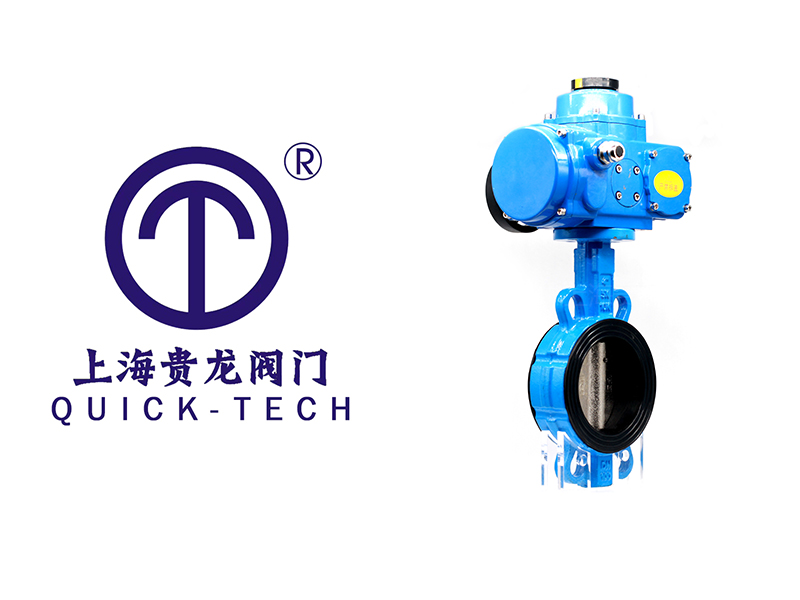 電動對夾蝶閥拼圖.jpg